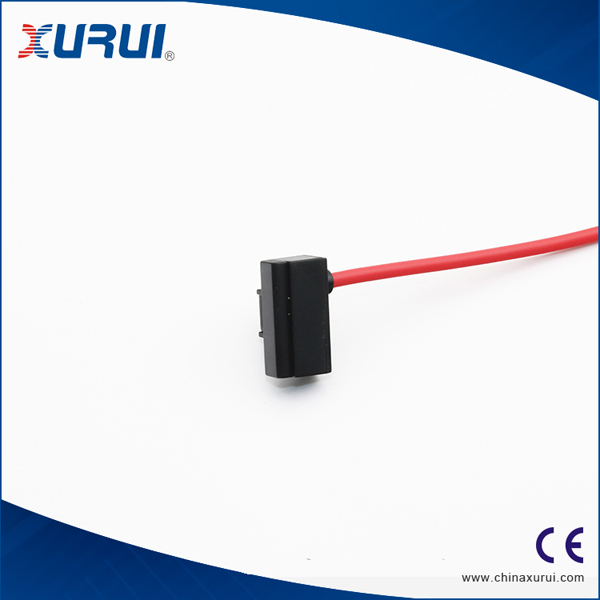 CS1-J Magnetic switch