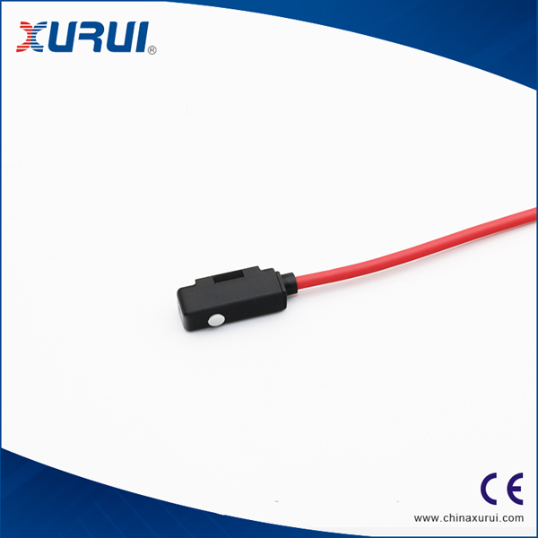 CS1-M Magnetic switch